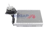 Original BOGAP Storage Evaporator 64119361707 / B4124100