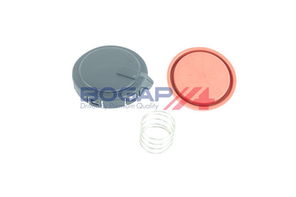 Original BOGAP Crankcase Ventilation Valve 11127547058 / B1116100