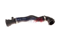 Original BOGAP Water Hose 11531705223 / B4228229