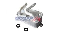 Original BOGAP Heat Exchanger 17217519213 / B4222105